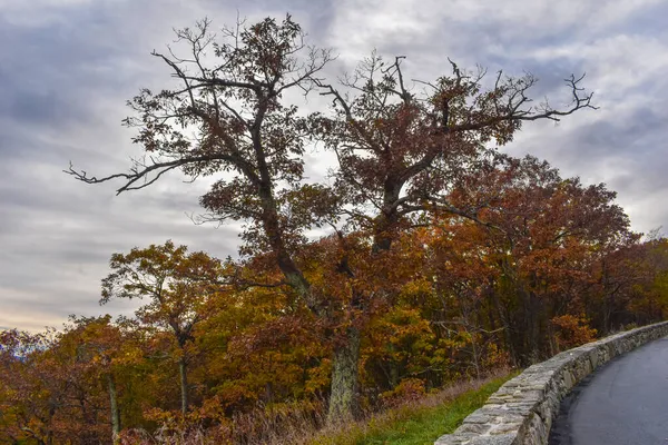 Shenandoah National Park Virginia Usa November 2021 Kleurrijke Herfstkleuren Gezien — Stockfoto