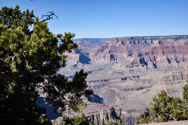 그랜드 캐니언 애리조나주 2021 Overview Grand Canyon Seen Hermlies Rerest — 스톡 사진