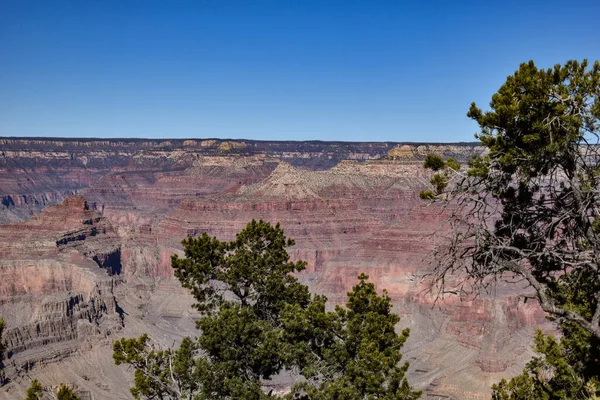 그랜드 캐니언 애리조나주 2021 Overview Grand Canyon Seen Hermlies Rerest — 스톡 사진