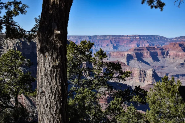 그랜드 캐니언 애리조나주 2021 Overview Grand Canyon Seen Hermlies Rerest — 스톡 사진