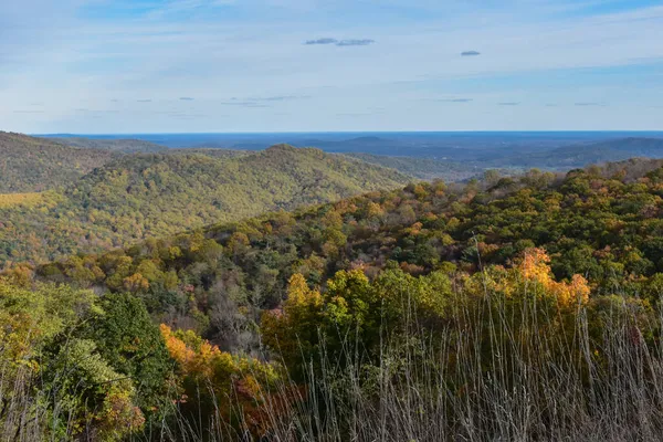 Shenandoah Ulusal Parkı Virginia Abd Kasım 2021 Önplanda Güzel Düşen — Stok fotoğraf