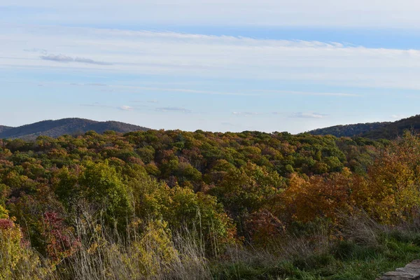 米国バージニア州シェナンドー国立公園 2021年11月3日 前景に美しい秋の木と背景に明るい青空を持つ山の風景 — ストック写真