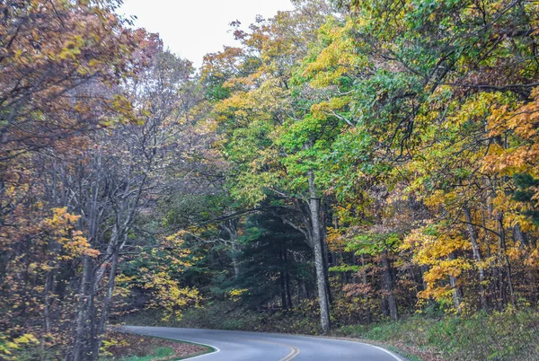 Shenandoah National Park Virginia Verenigde Staten November 2021 Skyline Drive — Stockfoto