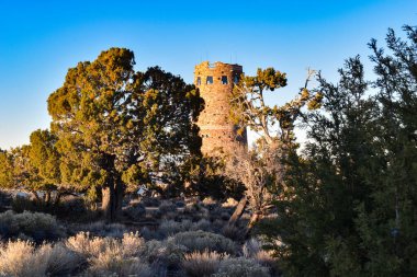 Büyük Kanyon Ulusal Parkı, Arizona, ABD - 22 Kasım 2021: Mary Colters Desert View Watchtower Sunset 'te Büyük Kanyon' un Güney Halkası 'ndan Pine Trees tarafından gizlenen