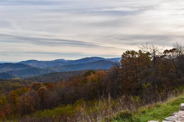 Shenandoah Ulusal Parkı Virginia Abd Kasım 2021 Önplanda Güzel Düşen — Stok fotoğraf