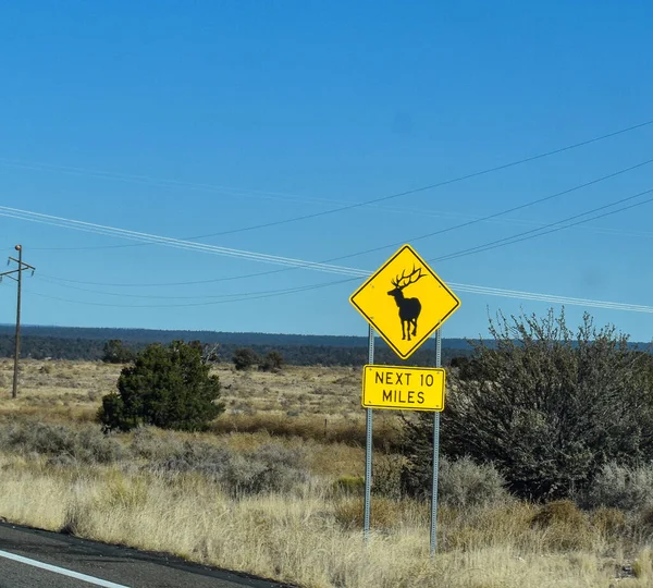 Trasa Arizona Usa Listopada 2021 Znak Przejścia Przez Łosie Zdobi — Zdjęcie stockowe