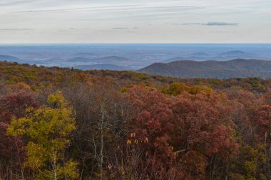 Shenandoah Ulusal Parkı, Virginia, ABD - 3 Kasım 2021: Önplanda Güzel Düşen Ağaçlarla Dağ Sahnesi ve Arkaplanda Parlak Mavi Gökyüzü