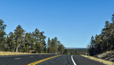 Tusayan, Arizona, ABD - 22 Kasım 2021: Evergreen ağaçları Williams, Arizona 'dan Büyük Kanyon' a kadar otobanı süslüyor ve arka planda parlak, güneşli bir sonbahar sabahı