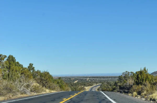 Williams Arizona Usa Novembre 2021 Alberi Sempreverdi Adornano Autostrada Williams — Foto Stock