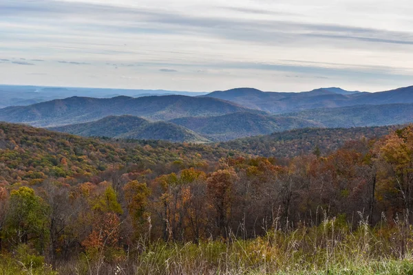 米国バージニア州シェナンドー国立公園 2021年11月3日 前景に美しい秋の木と背景に明るい青空を持つ山の風景 — ストック写真
