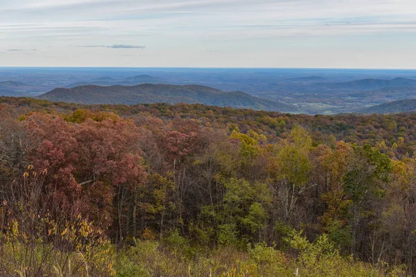 Shenandoah National Park Virgínia Eua Novembro 2021 Paisagem Montanha Com — Fotografia de Stock