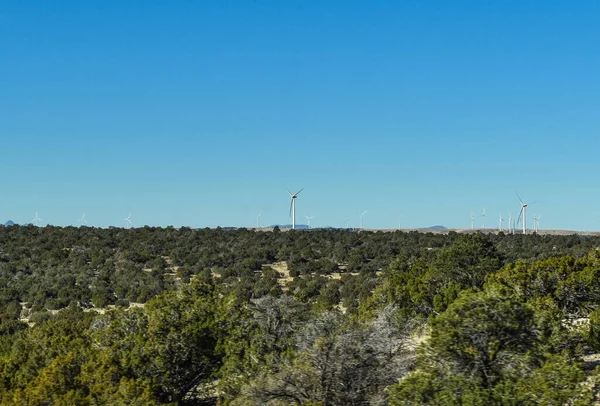 2021年11月22日 美国亚利桑那州瓦莱 在一个阳光灿烂的秋日清晨 在通往大峡谷的路上 风车用灌木装饰着沙漠的风景 — 图库照片