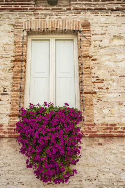 Finestra Del Municipio Numana Con Fiori Fucsia Marche Italia — Foto Stock