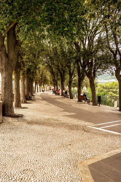 Laan Met Bomen Aan Conero Riviera Sirolo Augustus 2021 Sirolo — Stockfoto