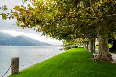 Lombardia, Como Gölü 'ndeki Villa Melzi Bahçeleri' nin lüks caddesi İtalya
