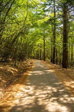 Sirolo, Marche, İtalya 'daki Conero Dağı' nda yer alıyor.