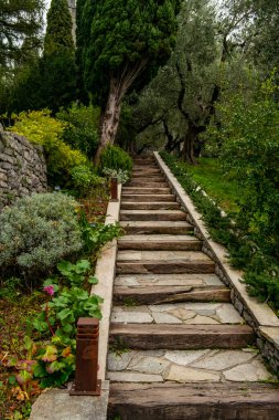 Selvi ve zeytin ağaçlı ahşap merdiven
