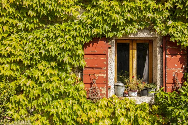 Sfondo Con Foglie Edera Colorate Una Casa Con Persiane Rosse — Foto Stock