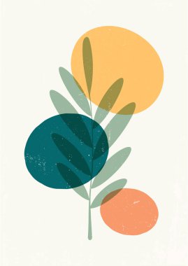 Soyut şekilleri ve dalları olan botanik duvar sanat vektörü. Ev dekorasyonu, duvar sanatı için çiçek tasarımı