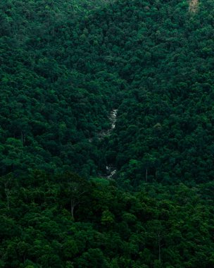Bisle Ghat bakış açısından 19 / 06 / 2022 'de çekilen akarsu akışının bir resmi.