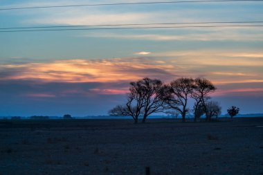 Arjantin manzara sahaları       