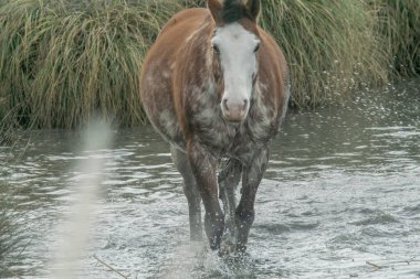 Mar del Plata skyline , Buenos Aires , Argentina  