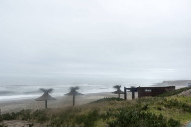 Thatcher umbrellas on the beach , in anta Clara del Mar , Buenos Aires , Argentina 