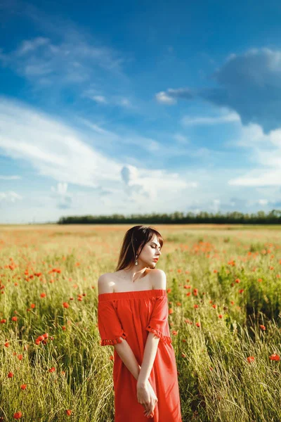 Dizlerinin üstünde kırmızı elbiseli bir kız bütün gün gökyüzüne karşı gelincik tarlasında dikiliyor.