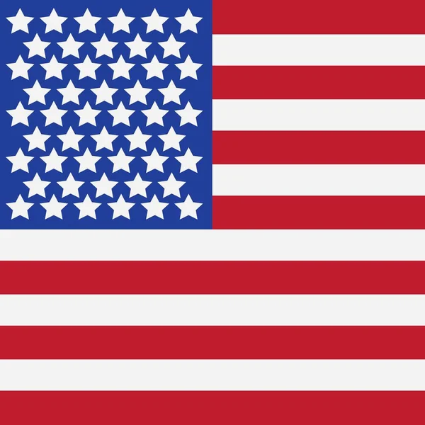 Flag American Vector Icon Illustration Design Template — Stock Vector