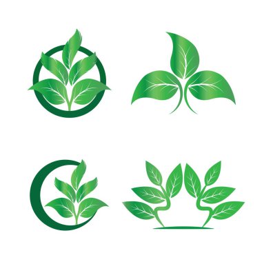Yeşil yapraklı ekoloji doğa element ikonu logoları