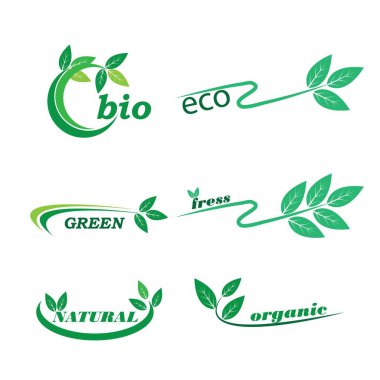 Yeşil yapraklı ekoloji doğa element ikonu logoları