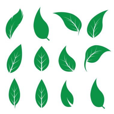 Yeşil yapraklı ekoloji doğa element ikonu logoları