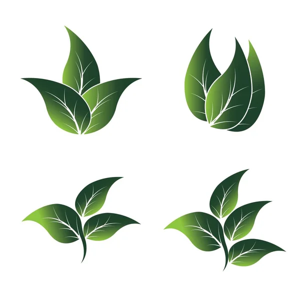 Logos Vert Feuille Écologie Élément Nature Vecteur Icône — Image vectorielle