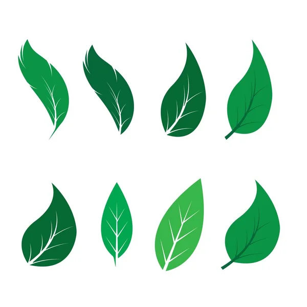 Logo Van Groene Blad Ecologie Natuur Element Vector Icoon — Stockvector