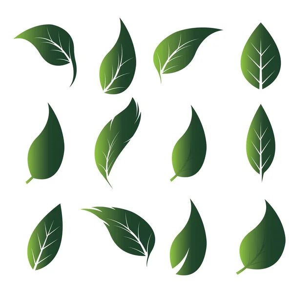 Logotipos Ecología Hoja Verde Naturaleza Elemento Vector Icono — Vector de stock
