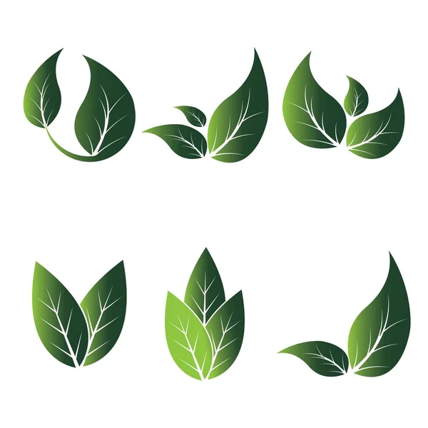 Logo Van Groene Blad Ecologie Natuur Element Vector Icoon — Stockvector