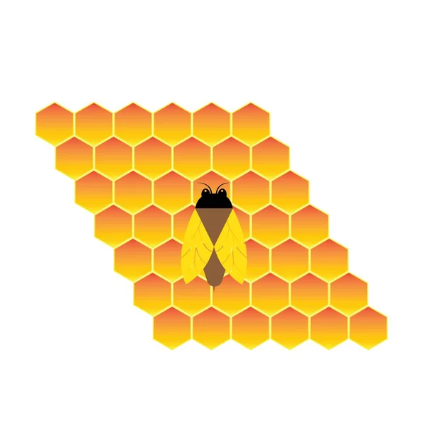 Honey Comb Logo Template Design Vector Emblem Design Concept Creative — Stock Vector