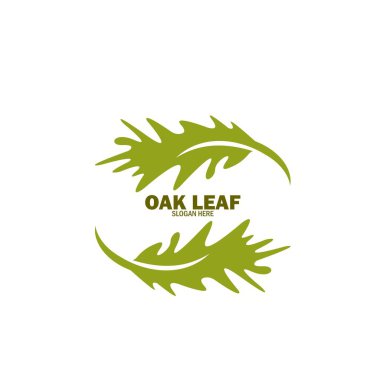 Meşe Yaprağı Logosu Tasarımı Şablon Çizimi