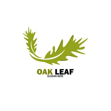 Meşe Yaprağı Logosu Tasarımı Şablon Çizimi
