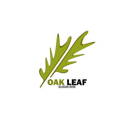 Meşe Yaprağı Logosu Tasarımı Şablon Çizimi
