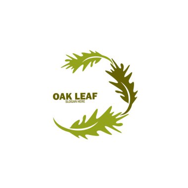 Meşe Yaprağı Logosu Tasarımı Şablon Çizimi
