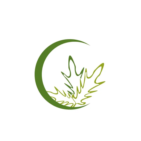 Hoja Roble Logo Diseño Plantilla Vector Ilustración — Vector de stock