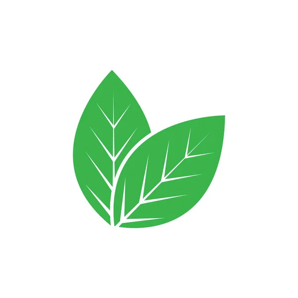 Ecología Hojas Verde Logo Vector Ilustración — Vector de stock