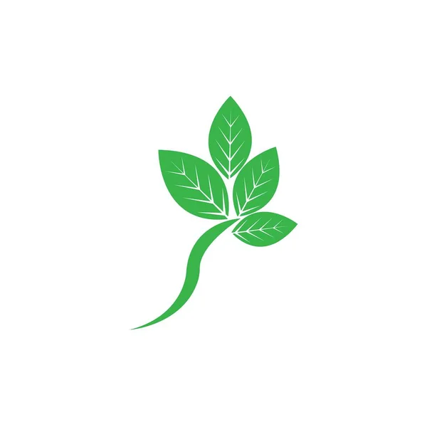 Ekologia Liście Przejść Zielony Logo Wektor Ilustracji — Wektor stockowy