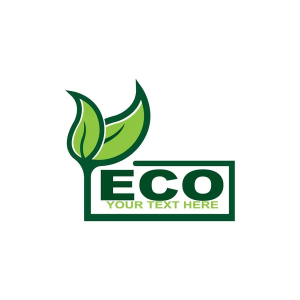 Eco Doodle Organic Leaves Emblems Stickers Frames Vector Logo — 图库矢量图片