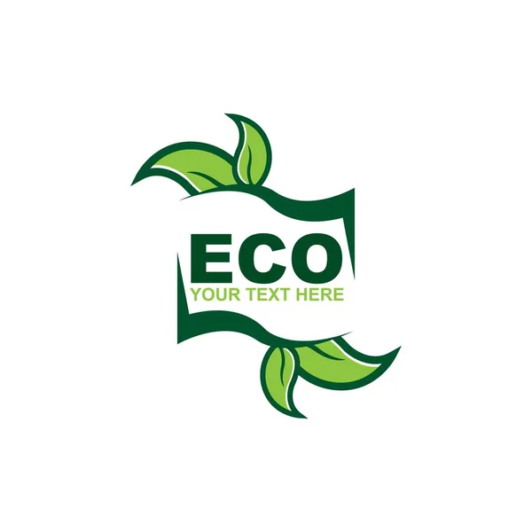 Eco Doodle Organic Leaves Emblems Stickers Frames Vector Logo — 图库矢量图片