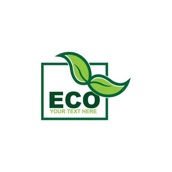 Eco Doodle Organic Leaves Emblems Stickers Frames Vector Logo — Vector de stock