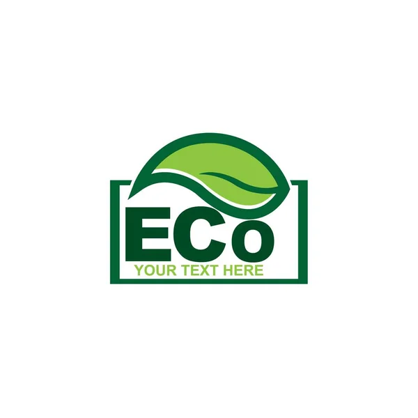 Eco Doodle Organic Leaves Emblems Stickers Frames Vector Logo — 图库矢量图片