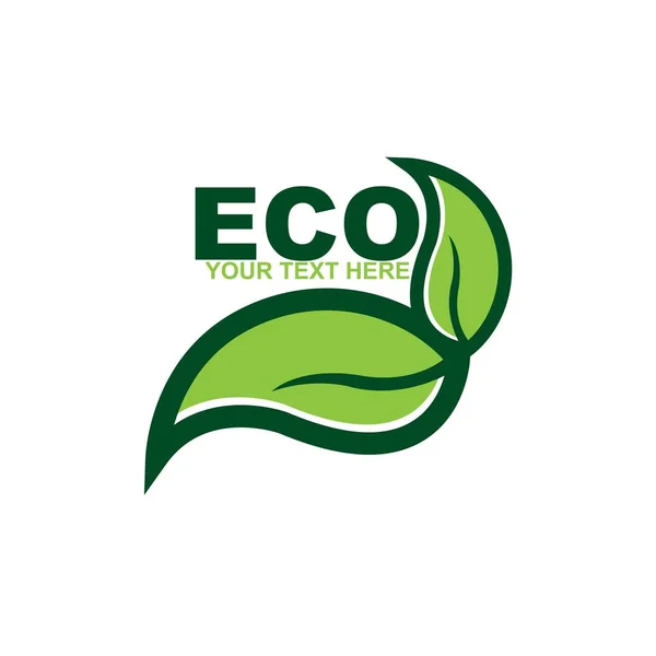 Eco Doodle Organic Leaves Emblems Stickers Frames Vector Logo — ストックベクタ