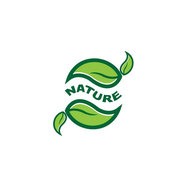 Nature Doodle Organic Leaves Emblems Stickers Frames Vector Logo — ストックベクタ